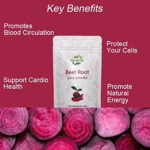 Oem/ODM Hot Bán Hữu Cơ củ cả<span class=keywords><strong>i</strong></span> gốc bột, củ cả<span class=keywords><strong>i</strong></span> nước trá<span class=keywords><strong>i</strong></span> cây Pre-Workout tập trung bột, năng lượng & hệ thống miễn dịch hỗ trợ - Product Image 3