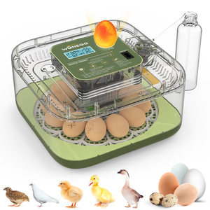 Wonegg buena calidad completamente automático pequeño huevo capacidad 12 incubadora para pollo codorniz pato huevos incubar para la venta - Product Image 2