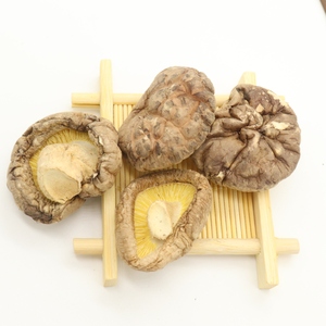 シイタケブロック栽培高品質乾燥真菌卸売オリジナル味付け - Product Image 6