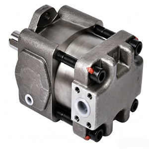 Bomba de Engranajes Internos de la Serie QT Fabricada en Hierro Fundido para Aplicaciones Hidráulicas Industriales de Alto Rendimiento - Product Image 1