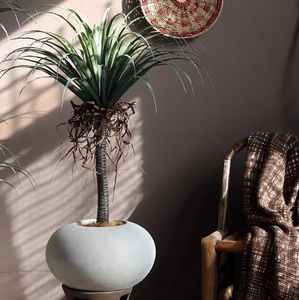 Planta verde de bambú de bola plana <span class=keywords><strong>redonda</strong></span> creativa con casa de té de estilo chino centro comercial tienda de ropa <span class=keywords><strong>maceta</strong></span> de arcilla de magnesio - Product Image 2