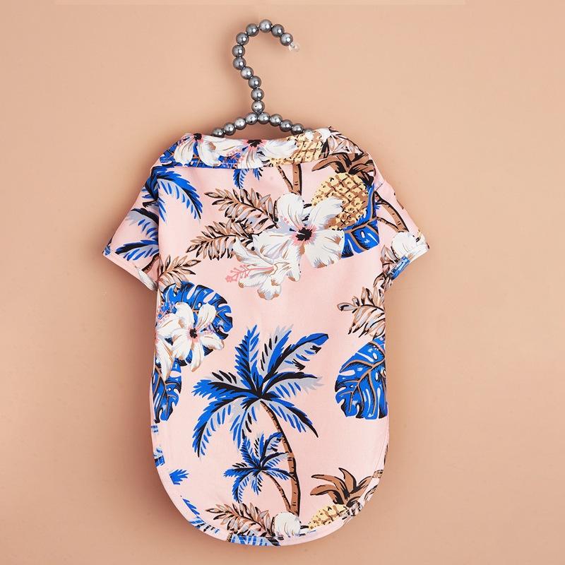 สับปะรดสีชมพู