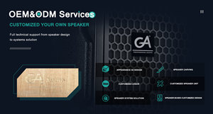 Sistema de sonido de graves profesional, Subwoofer de 18 pulgadas, para música de fondo, novedad de 2023 - Product Image 3