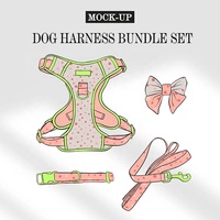 Harnais pour chien personnalisé, réglable, respirant, écologique, rembourré, de luxe, OEM, sur mesure, Sunraymascota