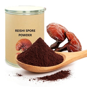 Poudre de spores de champignon Reishi de haute qualité, compléments alimentaires à base de champignons, poudre de Reishi, spores de Ganoderma Lucidum à coque brisée - Product Image 1