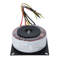 Rifornimento di fabbrica 20va-5000va ingresso 220v 230v uscita 12v 24v 36v 48v trasformatore toroidale per amplificatore audio