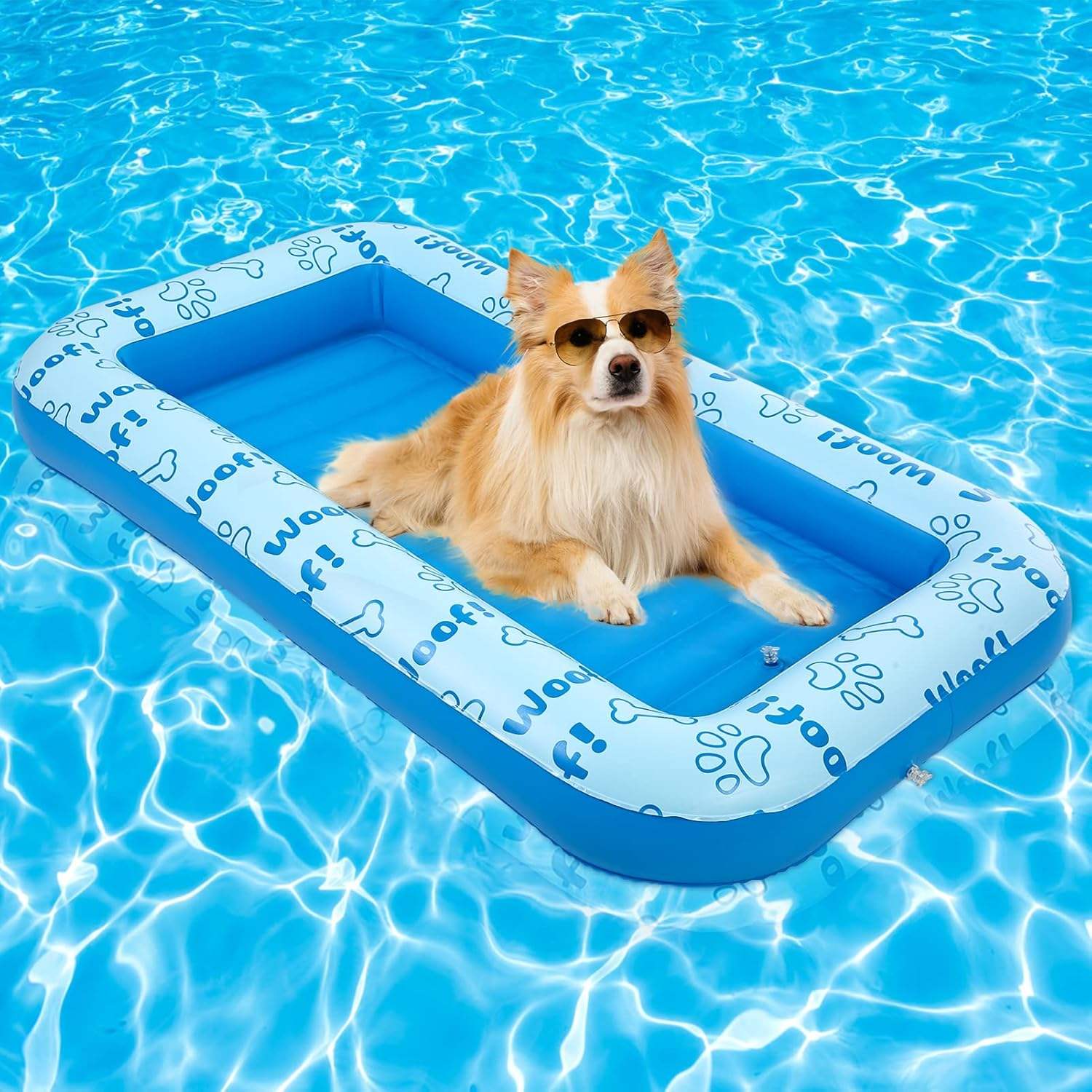 Dachshund Pool Float Pool Floats For You And Your Dog 2024 Highest