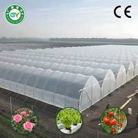 Serre Commerciale Multi-Span en Film, Ensemble Complet avec Système Hydroponique pour Fleurs et Jeunes Pousses