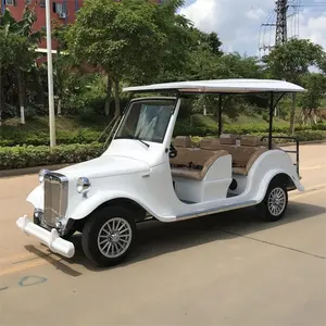 Koştu Eec elektrikli kamyon kargo elektrikli süpürgesi elektrikli Golf arabası Buggy üzerinde binmek