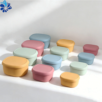Boîte de rangement alimentaire en silicone réutilisable sans BPA, étanche, pour le déjeuner