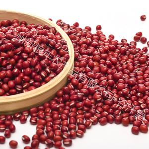 Frijoles <span class=keywords><strong>Adzuki</strong></span> Chinos de Primera Calidad, Nueva Cosecha (Frijoles Rojos Pequeños), Grado de Exportación, Frijoles Rojos Secos Naturales para Alimentos y Bebidas - Product Image 4
