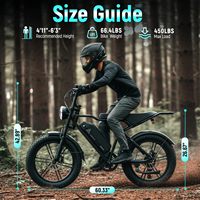 Vélo Électrique Fatbike 2026 EU Stock R002 Plus 20 pouces avec Pneus Larges, Batterie Lithium 25A, V8 H9, Fabrication OEM