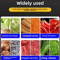 Hachoir Électrique Multifonctionnel pour Légumes, Coupe-Aliments, Trancheuse, Broyeur, Machine de Préparation Culinaire Domestique