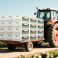 Recycelbare Wellpappe-PP-Kunststoffbox mit UV-Beschichtung für Obst- und Gemüseverpackungen, Maßanfertigung aus Recyclingmaterialien