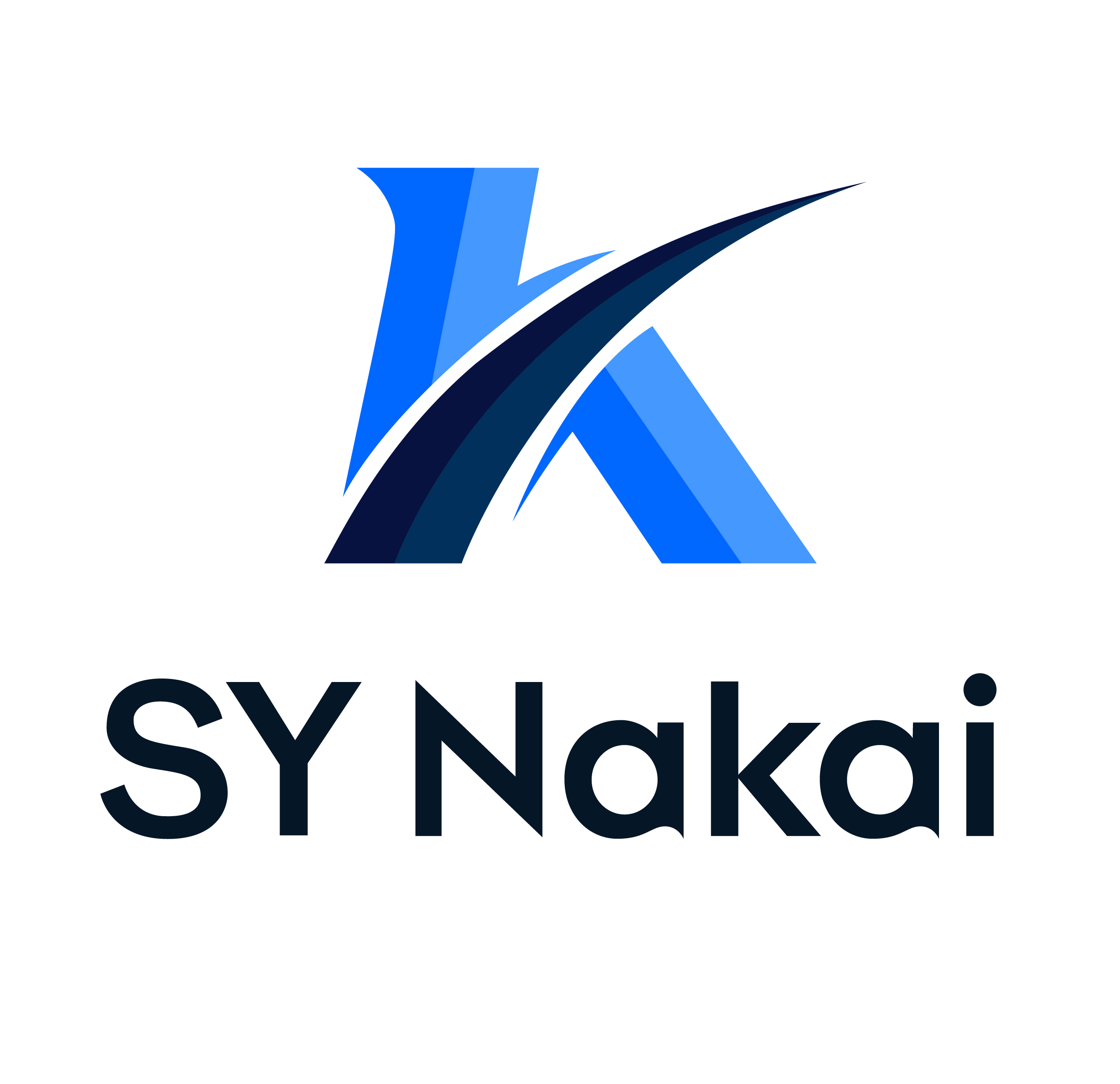 Shiyan Nakai Industry And Trade Co., Ltd. logo