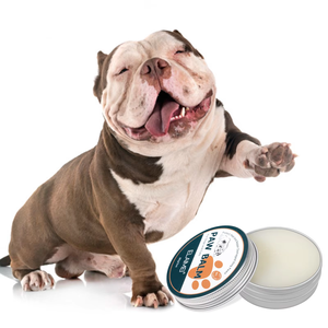 Biểu Tượng Tùy Chỉnh Hữu Cơ Vegan Paw Balm Cho Chó Và Mèo Hydrat Và Bảo Vệ Da Bị Tổn Công Sử<span class=keywords><strong>a</strong></span> Chữ<span class=keywords><strong>a</strong></span> Kem Thuốc Mỡ Cho Vật Nuôi - Product Image 4