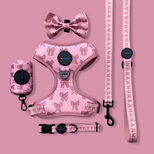 Cina produttore all'ingrosso rosa papillon a tema Pet collare guinzaglio imbracatura e borsa per cacca Dispenser Set per animali domestici alla moda - Product Image 1