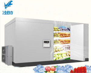 Cámara de Congelación Personalizada Copeland Emerson para Frutas Frescas: Fresas, Melocotones, Lichis, Mangos, Plátanos - Product Image 1