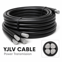 Câble chauffant électrique antidéflagrant en aluminium de haute qualité YJLV pour usage industriel, isolation nue, souterrain, 250V 1*0.5mm