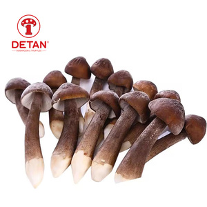 DETAN fungo fresco naturale/nutriente nero collybia albuminosa - Product Image 1