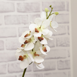 Tige d'<span class=keywords><strong>orchidée</strong></span> <span class=keywords><strong>Vanda</strong></span> artificielle de 70 cm, fleur d'<span class=keywords><strong>orchidée</strong></span> en soie réaliste, fausse <span class=keywords><strong>orchidée</strong></span> thaïlandaise pour la décoration de la maison, des mariages et des fêtes - Product Image 6