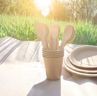 Ensemble de couverts jetables en bois biodégradable sans BPA de haute qualité, 6,3 pouces, fourchettes et cuillères emballées individuellement pour le service alimentaire
