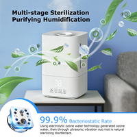 Humidificateur d'air pour hôtel avec fonction ozone 2-en-1 : humidification et purification