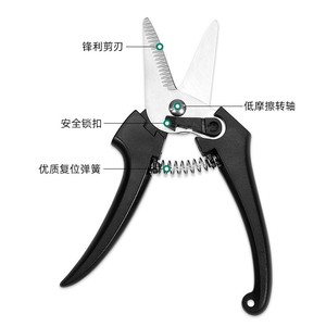 Guanglong Works Pruning Shears 5 In Stainless Steel Safety Lock For Fruit Trees Branch Trimming Gardening - Product Image 1