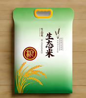 Sac d'emballage pour farine 5kg 10kg imprimé non tissé Spunbond durable certifié ISO, qualité alimentaire, laminé, pour blé, maïs, manioc, OEM