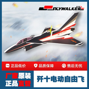 Aeromobile Elettrico Mini J-10 SKYWALKER, Modello in Schiuma da Lanciare a Mano, Giocattolo per Bambini, Competizione di Scienza e Tecnologia - Product Image 3