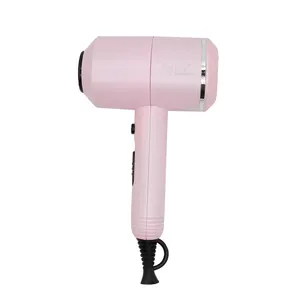 Supplier exclusive design professional ion hair dryer barber shop hair salon hair dryer