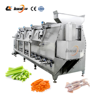 Spiraltransportband Mango Industriële Blancheringsmachine Fruit- en Groenteblisheringsmachine Met Dubbellaagse Isolatie