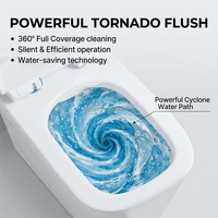 WC monobloc Yingjie à chasse d'eau Eddy Tornado à un trou, siphon en P 180 mm, certifié CE, pour salle de bain d'appartement, direct usine