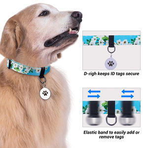 OEM-Design Maßgefertigtes Muster Bedrucktes Sublimations-Polyester Hundehalsband Nachhaltig mit Bandverzierungen Großhandel - Product Image 3
