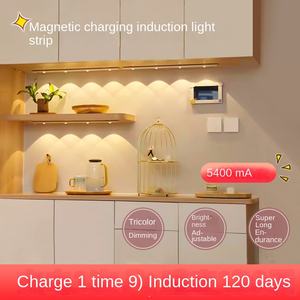 Inalámbrico 10Led 4Aaa Batería Led Seguridad Interior Sensor de movimiento Usb Gabinete Luz Noche Luz con sensor - Product Image 4