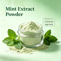 Extrait de Mentha Piperita de qualité alimentaire et cosmétique, directement de l'usine, extrait de feuille de menthe poivrée pour les boissons, matière première botanique pour les soins de la peau