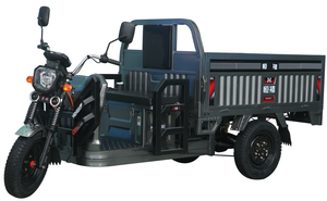 Tricycle électrique pour adultes 1000w Tricycle électrique à trois roues 3Tricycle électrique de cargaison en Chine - Product Image 4