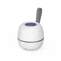 Boîte de désinfection UV multifonctionnelle en plastique personnalisée pour l'hygiène buccale, lumière UV rechargeable, stérilisateur de sucettes mini portable