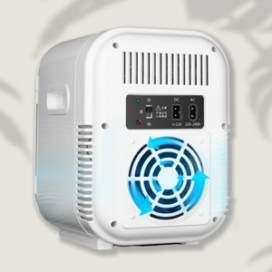 Hot Selling 5l Dual-Purpose 12V Huis En Auto Mini Koelkast Met Laag Geluidsniveau En Stille Halfgeleider Auto Koelkasten - Product Image 4