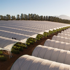 Serra a tunnel multispan da 1 ettaro per agricoltura, con sistema di drenaggio per mirtilli e fragole - Product Image 4