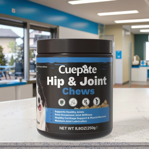 Feline-friendly chống viêm hỗ trợ doanh bổ sung Glucosamine <span class=keywords><strong>MSM</strong></span> nhuyễn thể công thức hip chăm sóc Doanh cho hoạt động mèo chó - Product Image 3