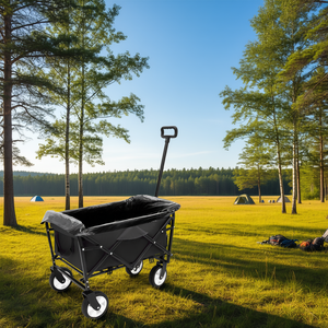 Carrito Plegable Db con 4 Ruedas, Carrito de Metal Negro para Playa, Camping, Compras y Supermercado - Product Image 2