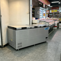 Congélateur coffre horizontal commercial 1380L à refroidissement direct, double compresseur R290, dégivrage manuel pour stockage de viande