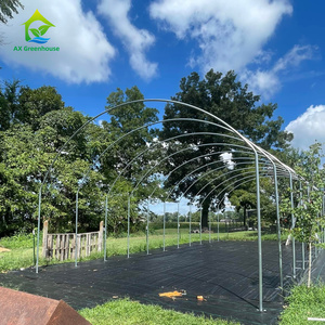 Haute résistance au vent à faible coût pour les serres agricoles Cadre en métal - Product Image 5
