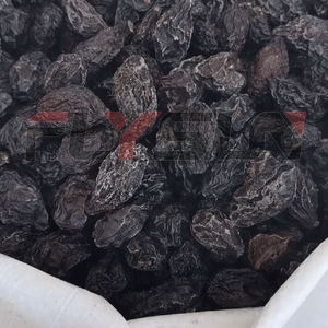 Vente directe d'usine Séchoir à bleuets Déshydrateur de fruits Myrtille Mangue Séchoir à plateau de fruits - Product Image 2