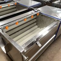 Automatische motor aangedreven rollerborstel reinigings- en schilmachine voor het wassen van fruit en groenten