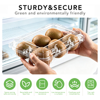 Contenant transparent en PET pour kiwi avec couvercle à charnière pour 6 kiwis entiers, barquette jetable pour fruits, qualité alimentaire, vente en gros, vente au détail, épicerie