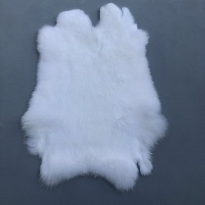 Peaux de lapin Rex de qualité supérieure - Peaux de lapin Rex véritables à toucher soyeux et haute densité - Product Image 3