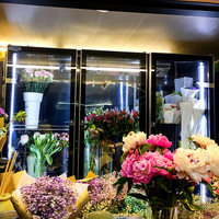 Vitrine Réfrigérée Florale Monotempérature pour l'Exposition de Fleurs Élégante Machine de Refroidissement pour Fleurs