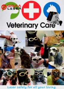 เครื่องกายภาพบำบัดแบบใช้ในสัตวแพทย์แบบพกพาเครื่องบรรเทาอาการปวดสำหรับสุนัขแมวม้า - Product Image 3